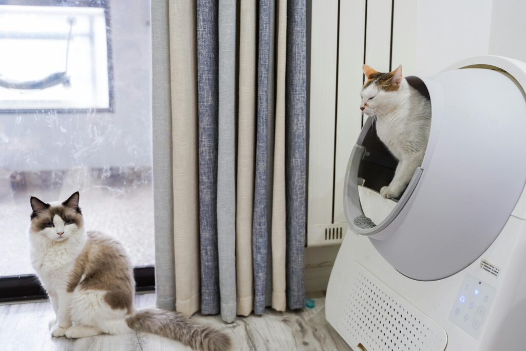 Benefits of Self-Cleaning Litter Boxes for Cat Owners Two cats relaxing in a modern living room with an automated litter box near the window.