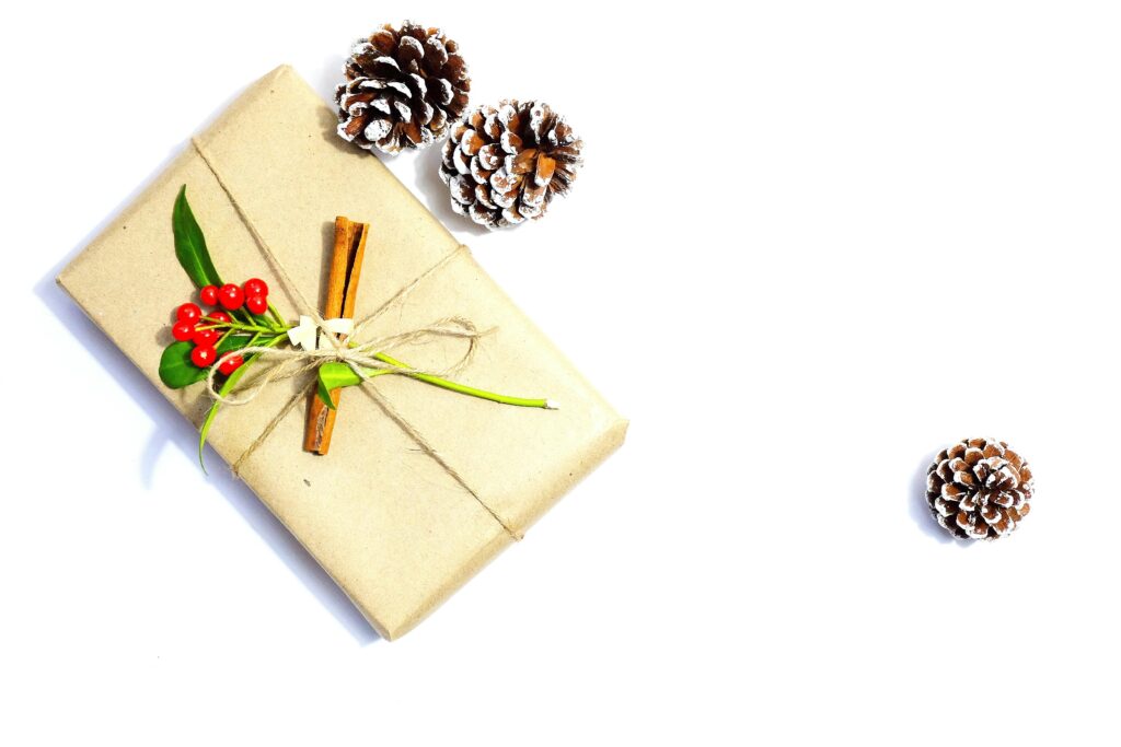 Minimalist holiday gift with natural decor and pine cones, perfect for Christmas inspiration.